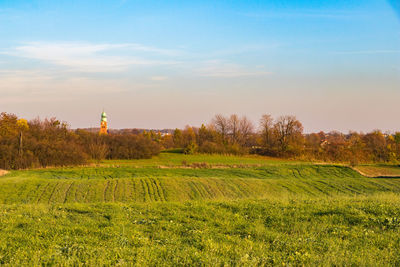 Scenic view of field against sky