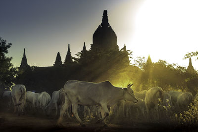 Statue of silhouette temple against clear sky