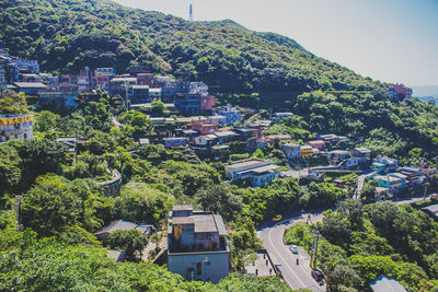 View of trees and building