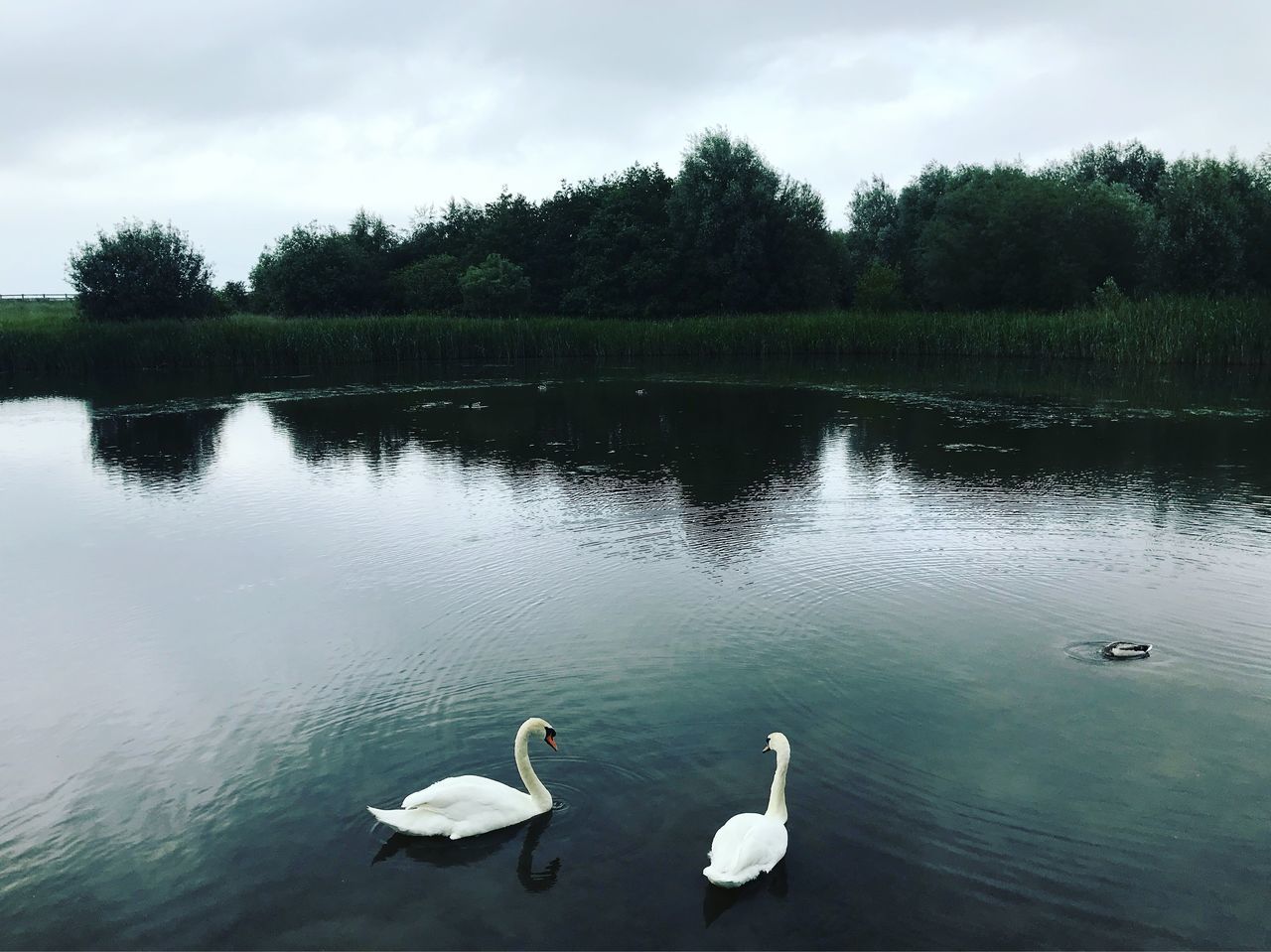 Waters' Edge Country Park & Visitor Centre