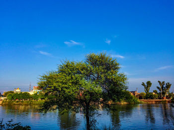 View of trees by the lake against blue sky
