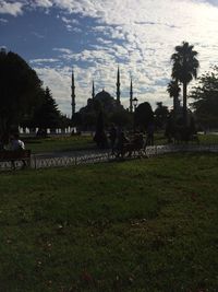 Trees in park