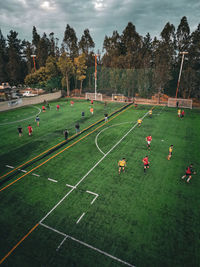 People on grassy field