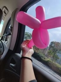 Midsection of woman holding pink flowers in car