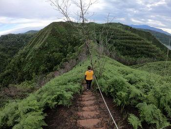 Rear view of man walking on mountain against sky