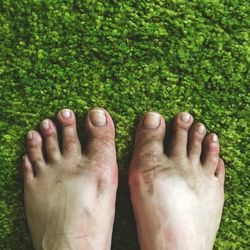 Low section of woman legs on grass