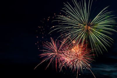 Low angle view of firework display at night