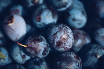 Full frame shot of fruits