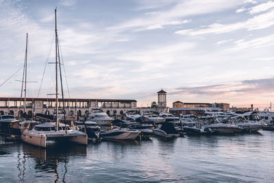 Sailboats moored in harbor