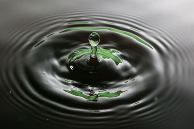 Close-up of water drops on water surface