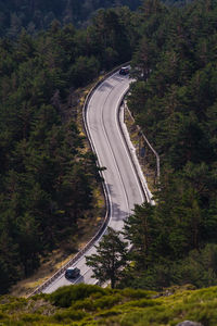 High angle view of winding road amidst trees in forest