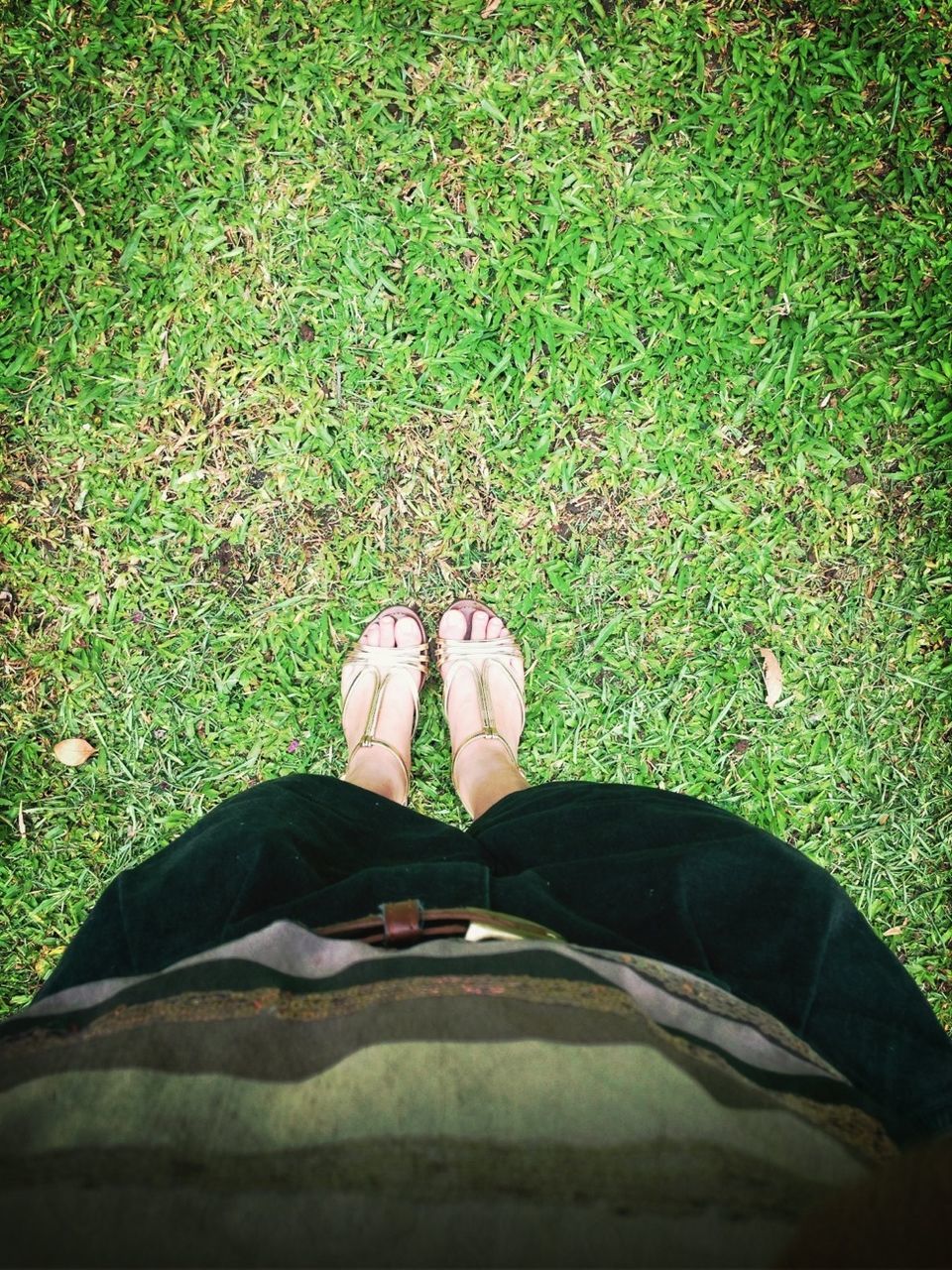 low section, shoe, person, personal perspective, grass, lifestyles, leisure activity, footwear, men, high angle view, sitting, green color, relaxation, standing, jeans, grassy, field