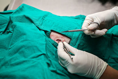 Veterinarians are using knives and scissors to cut a dog's wound. surgeon at work in operating room.