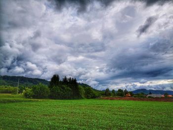 Scenic view of field against sky
