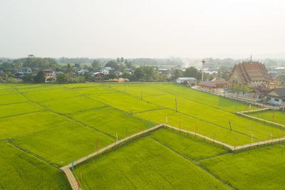 Scenic view of agricultural field against clear sky