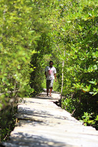 Man standing on footpath amidst plants