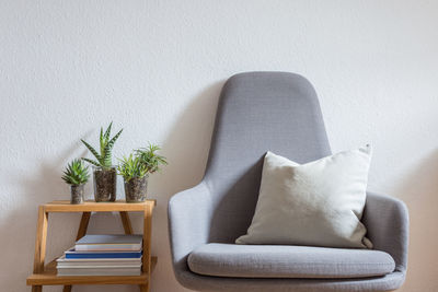 Modern armchair and potted plant on table at home, succulents