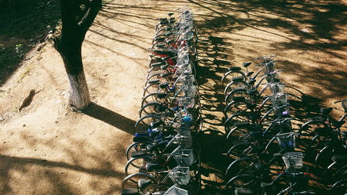 High angle view of bicycle shadow on tree