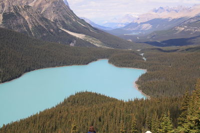 Scenic view of mountains