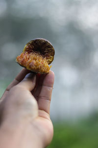 Close-up of hand holding apple