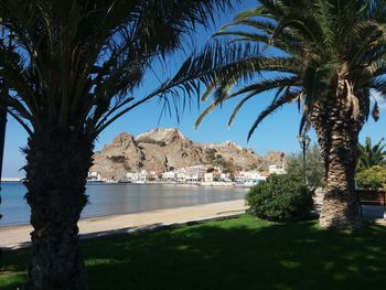 Palm trees by sea against sky