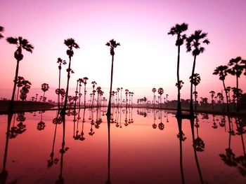 Silhouette palm trees by lake against sky during sunset