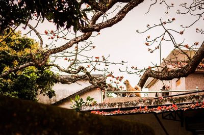 Low angle view of built structure