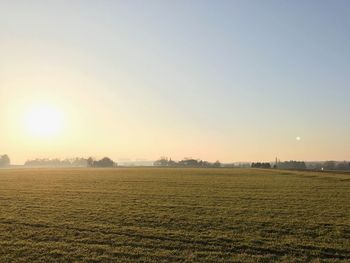 Scenic view of field against clear sky during sunset