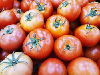 Full frame shot of tomatoes for sale at market