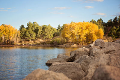 Scenic view of river by trees against sky