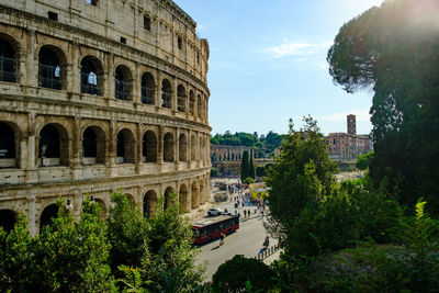 Colosseum in rome