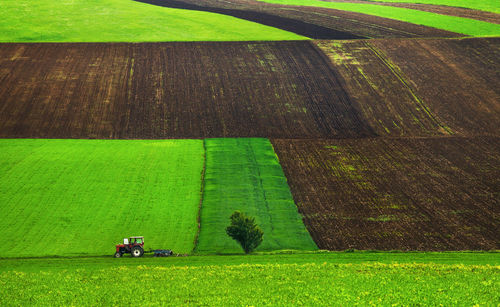 Scenic view of agricultural field