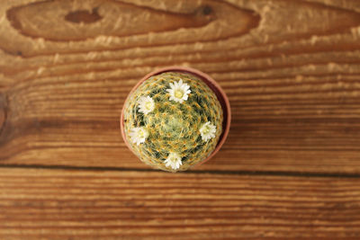 High angle view of lemon on table