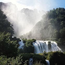 Scenic view of waterfall in forest