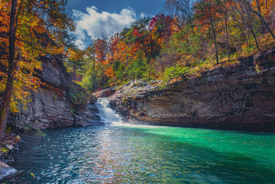 Scenic view of waterfall in forest during autumn