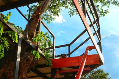 Low angle view of plants in park against sky