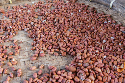 High angle view of shells for sale at market