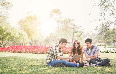 Young friends studying in park