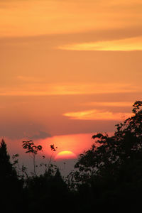 Silhouette trees against orange sky