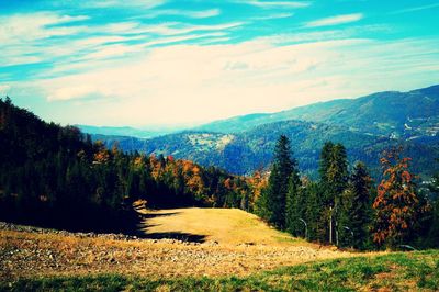 View of trees on landscape