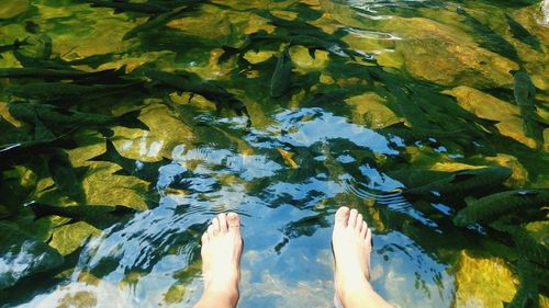 Low section of woman standing in lake