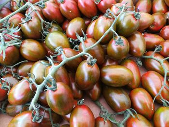 Full frame shot of tomatoes