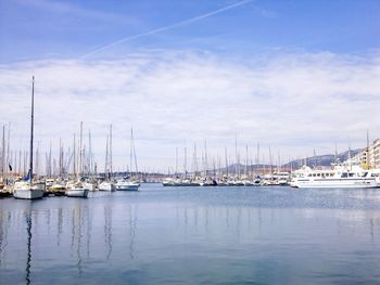 Sailboats moored in harbor