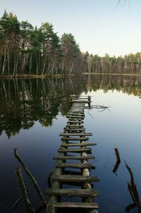 Reflection of trees in water