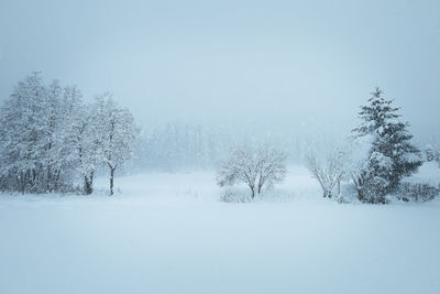 Scenic view of snow covered land and trees against sky