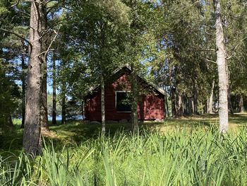 House on field against trees in forest