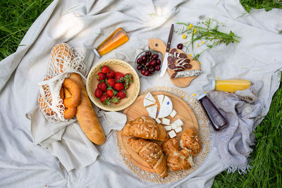 Picnic in the field with berries, juice, cheese, sausage and sweet croissants