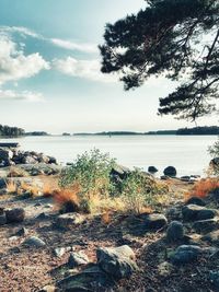 Scenic view of sea against sky