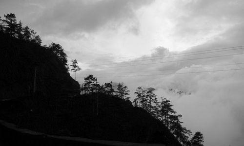 Low angle view of trees against sky