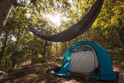 Tent in forest against sky